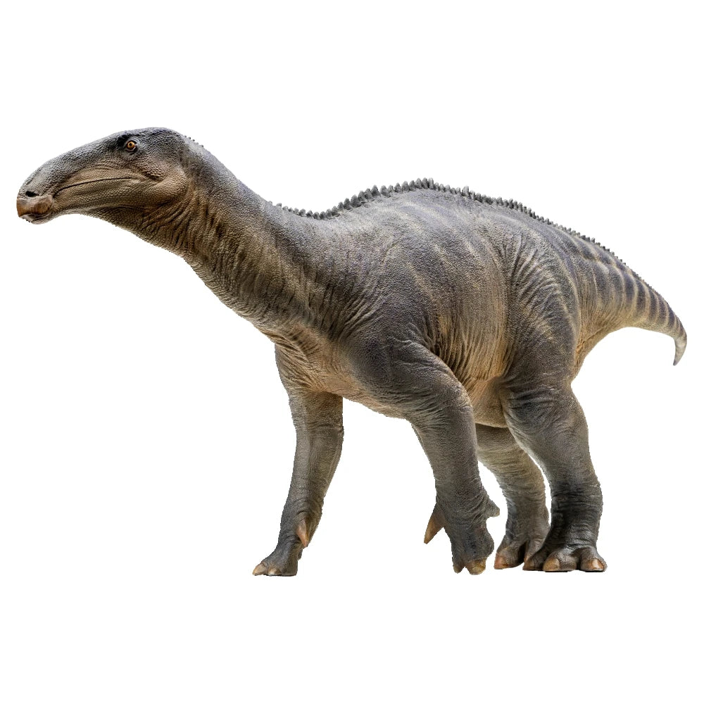 PNSO Dinosaur Museums Series:Harvey The Iguanodon 1:35 Scientific Art Model