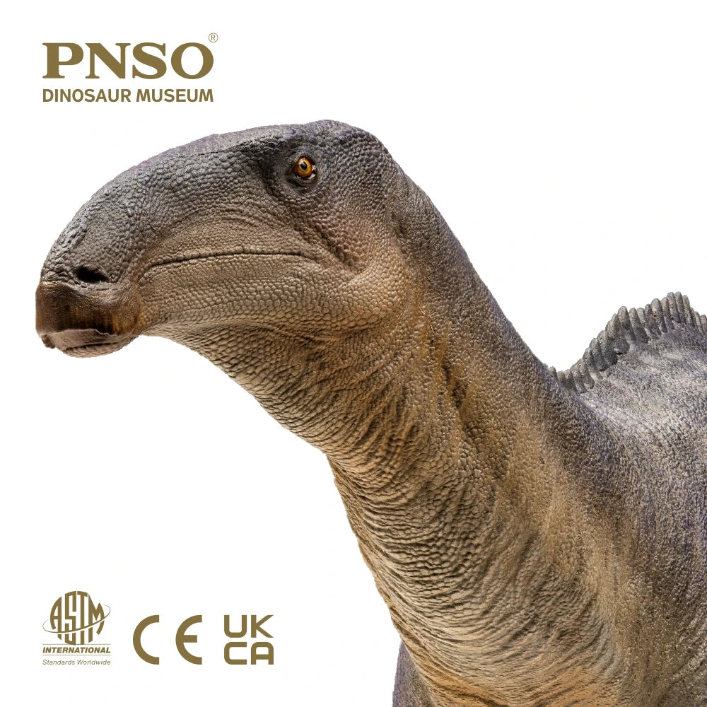 PNSO Dinosaur Museums Series:Harvey The Iguanodon 1:35 Scientific Art Model