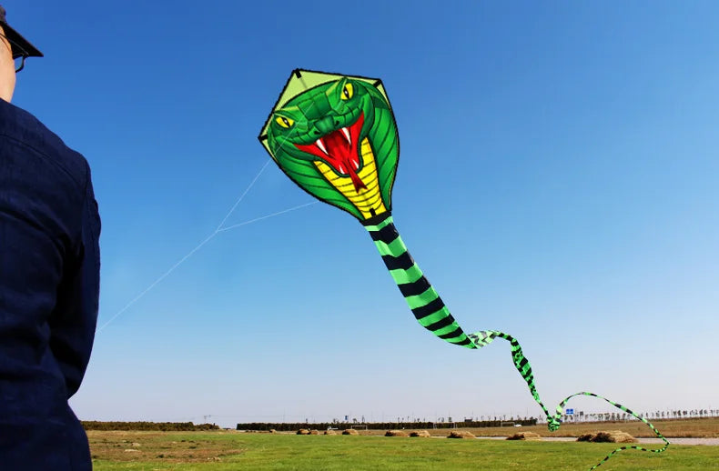 Outdoor Fun Sport Strong Snake With Long Colorful Tail Huge Beginner Snake Kites For Adults Come With String And Handle