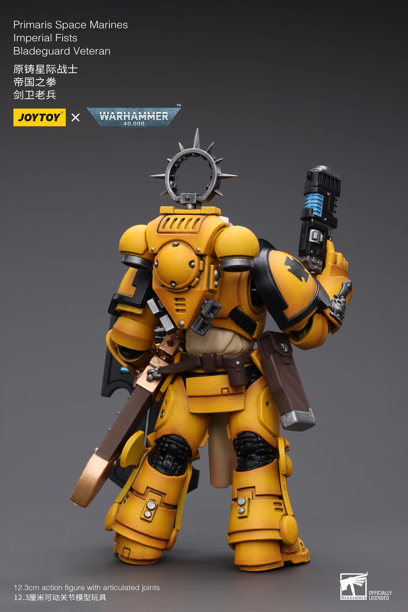 JOYTOY Warhammer 40K 1/18 Action Figure Primaris Space Marines Imperial Fists Bladeguard Veteran4PCS Anime Military Model
